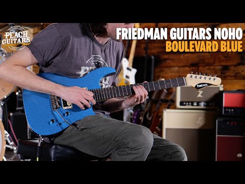 Friedman Guitars Noho | Rosewood - Boulevard Blue image 11