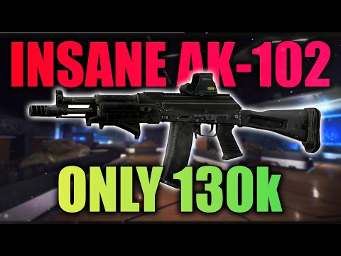 INSANE AK-102 BUDGET BUILD