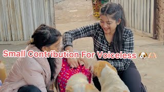 || Small Contribution For Voiceless ❤️🐶 || Kannu’s Life ||