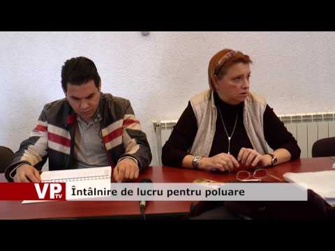 Întâlnire de lucru pentru poluare
