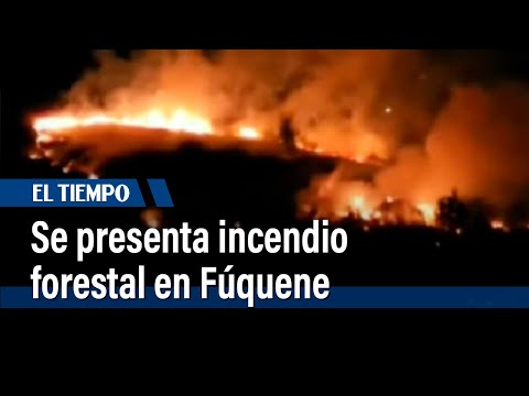 Sigue activo incendio forestal en el municipio de Fúquene | El Tiempo