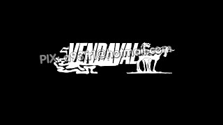 Vendaval 1973 - TV Record