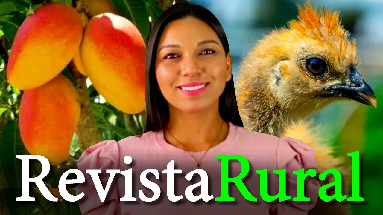 PROGRAMA REVISTA RURAL - 24/11/2024