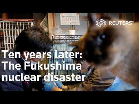 Ten years later: The Fukushima nuclear disaster
