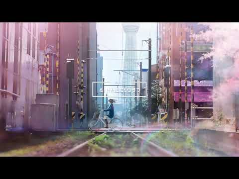 l.tus - lotus blossoms