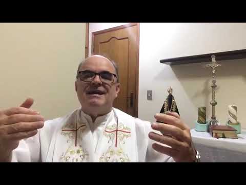 Homilia Pe. Amaro - 11/07/2020 - Paróquia Sagrado Coração de Jesus (Brooklin - SP)
