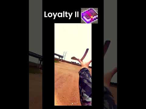 Loyalty II | Minecraft | #shorts #minecraft