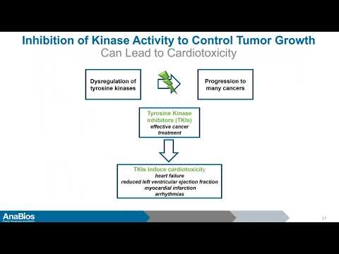 AnaBios Webinar | Human Primary Cardiomyocyte Model for Predicting Inotropes