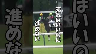 【競馬】強風オールバック　#shorts