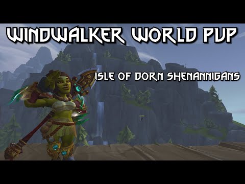 Windwalker Monk PvP || Open World Fights, Isle of Dorn Highlights || WoW Patch 11.2.5 PVP
