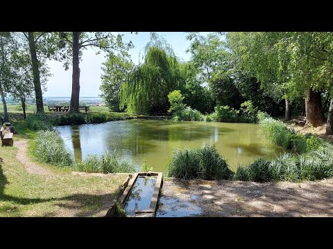 Lajta hegység - Fertő tó  MTB kerékpártúra