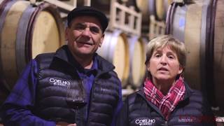 Insight to Coelho Winery