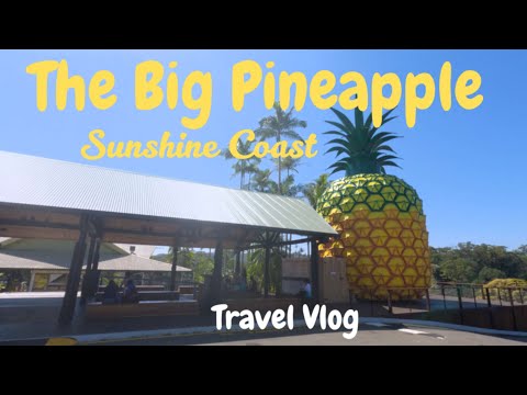 (The Big Pineapple) formerly one of Australia's top attractions coming back to its glory. 4k walking