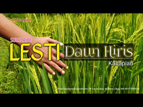 DAUN HIRIS - Lesti | the latest Lesti