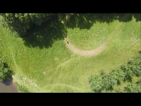 Beverbos Bernisse Zuidland/Simonshaven