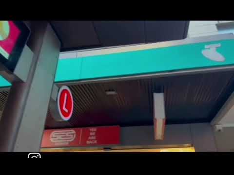 The Supreme Irony of Life is that hardly anyone gets out of it alive...- Robert A. Heinlein