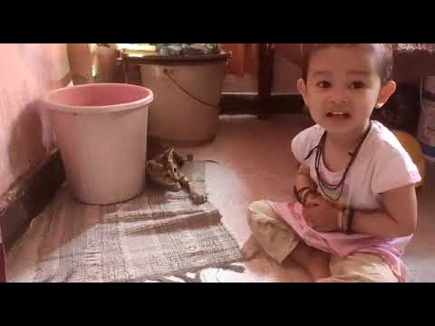 my cutie pie😃😃😃 @catch kitten 😸