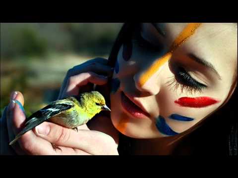 Kamarius ft  Dagaz ~ My Nature is Freedom