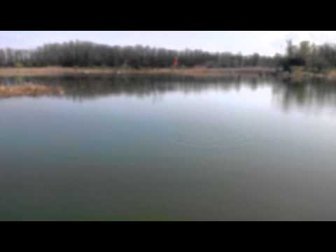 Caras la Crivina , MH - Danube fishing for F1's