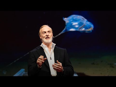 Ted Talk: What's at the Bottom of the Ocean?