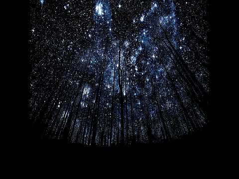 Myles Smith - Stargazing (OBLVN Edit)