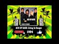 Ace Of Base - Living In Danger (Radio Version)