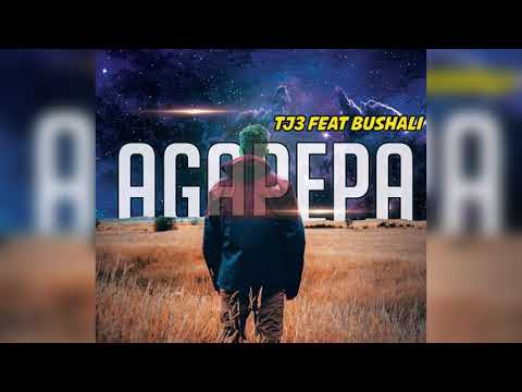 Tj Gatatu - Agapepa ft Bushali (official shaaah)