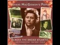 Shane MacGowan And The Popes - Nancy Whiskey (live on Paddy's Day)
