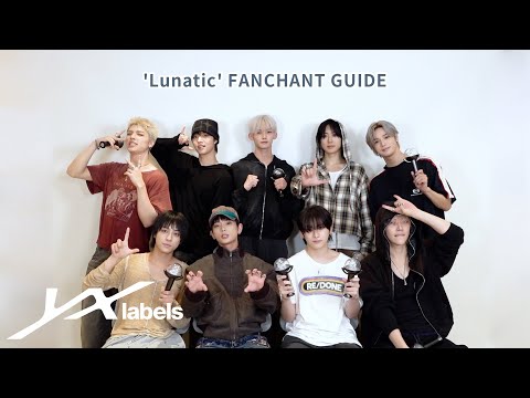 &TEAM 'Lunatic' Fanchant Guide
