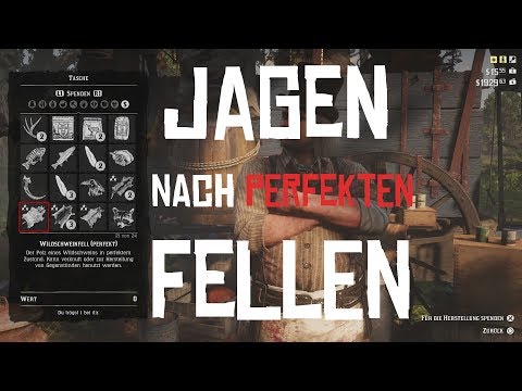 RED DEAD REDEMPTION 2 | GUIDE | JAGEN NACH PERFEKTEN FELLEN