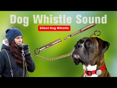 Silent Dog Whistle Sound 🎵 Dogs React to Ultrasonic High Pitch🐶