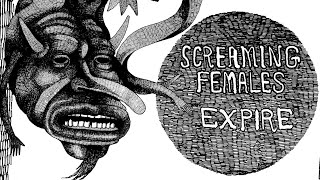 Music video thumbnail preview for Screaming Females - \ by Screaming Females