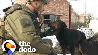 Heroes Are Helping The Tiny Refugees Of Ukraine | The Dodo by The Dodo