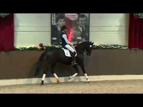 Kat.-Nr. 25 Fürst Rapallo