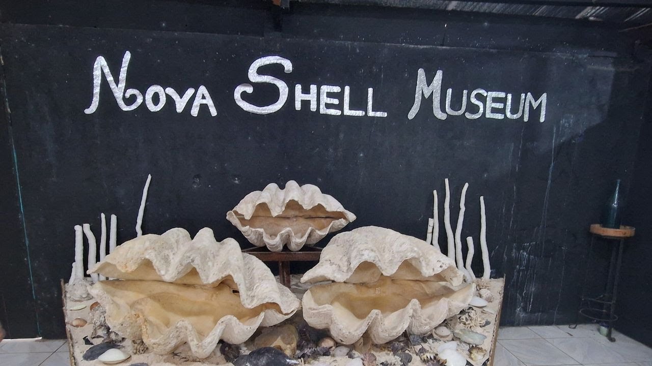 Discover the captivating highlights of Nova Shell Museum.