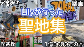 【超個人的】Lilyが行った岡崎の聖地集1【東海オンエア】