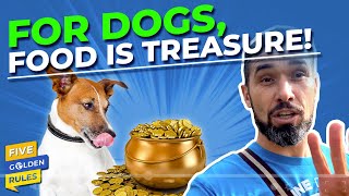 FOOD: Rule #1 of Doggy Dan&#39;s 5 Golden Rules - Why You Need To Control Your Dog&#39;s Food