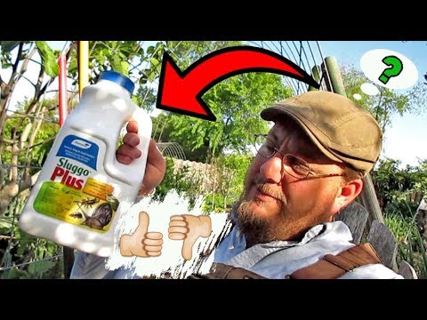 Organic Gardening Pest Control | Product Review (Sluggo Plus) | Does It Work?