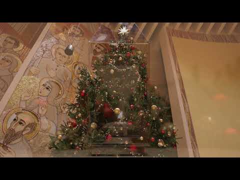 Papa Band Live - Božićni mix