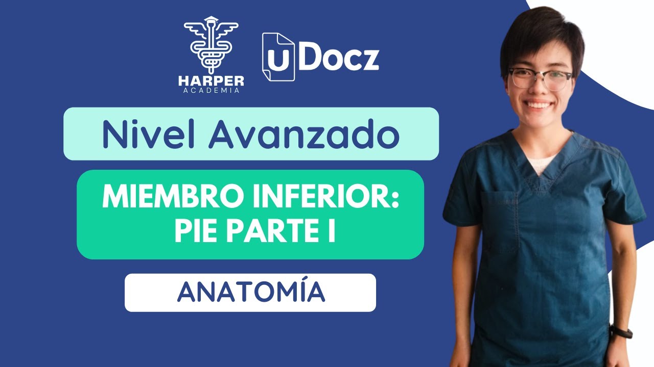 Miembro Inferior Pie Parte 1 con Harper Academia & uDocz 📚| Nivel Avanzado