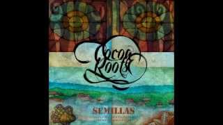 02 Pa la calle - Cocoa Roots (Semillas)