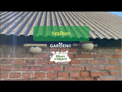 Svalbon - Trädgårdshacks med GardenR