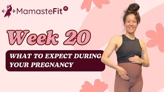 Week 20: What to Expect During Your Pregnancy + Gina