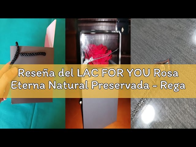 Vídeo relacionado con LAC FOR YOU Rosa Eterna Natural Preservada - Regalos Originales para Mujer - Caja Rosa Preservada con Collar Regalo Novia, Madre Cumpleaños, Aniversario - Roja