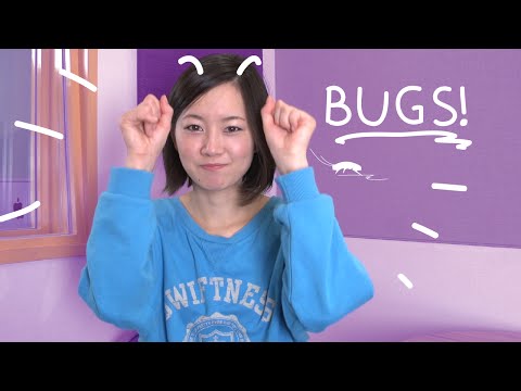 Learn The Most Useful Words in Japanese