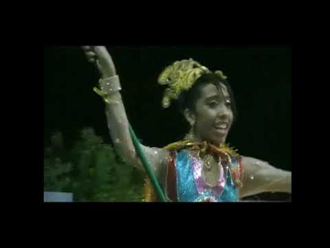 Desfile da Unidos do Morro 2018