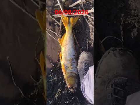 #para ti #dorado #amigos #aguas calientes jujuy argentina