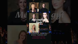 Best of Cseh Tamás augusztus 25-én a Mézesvölgyi Nyár fesztiválon. JEGYEK!