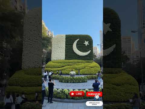 Pakistani Flag in Bloom – A Floral Tribute