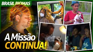 Miniatura do vídeo